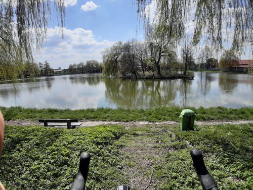 Słupia - staw w centrum