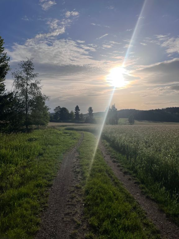 Gravel ride to Prague photo 2