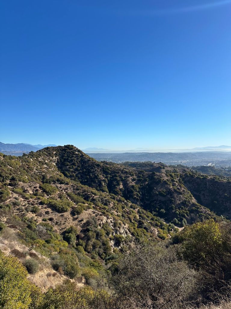 NBB run - Lake Hollywood photo 67