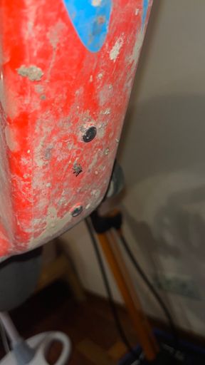 Убийца клещей