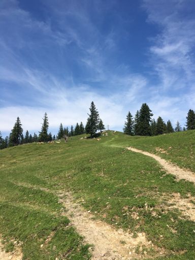 Lieblings Berg im Unterland 🤣