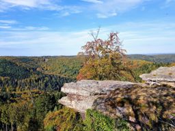 La Hoube Wuestenberg