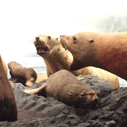 This was NOT on the trail. This was in the 👑 🐝 🌊 museum.