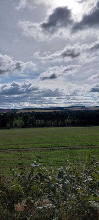 View south/to our right of Waterloo Monument from the B6406 after Maidenhall.