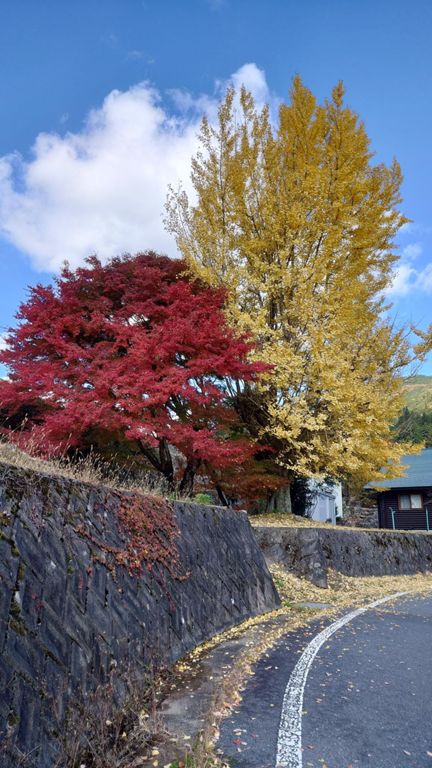 山越えた方が紅葉進んでる?