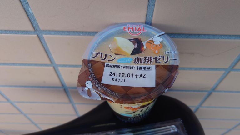 本日のデザート♪　初めて見る物には弱い😅