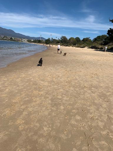 Not so packed by 9:55 , responsible dog owners!