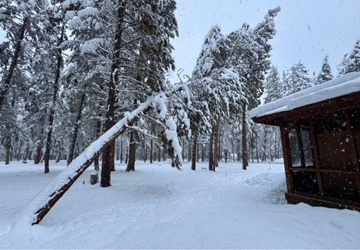 Pict from yesterday; this one fell at 2:48 AM.