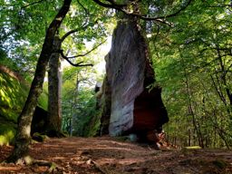 La Hoube Wuestenberg