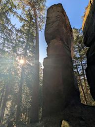 Tour dans forêt de Taintrux avant la séance d’escalade