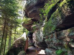 Dans les coins de Dabo