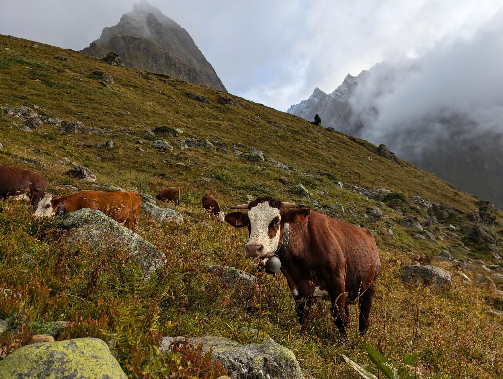 GR 5 Part 1 - Day 11 photo 7