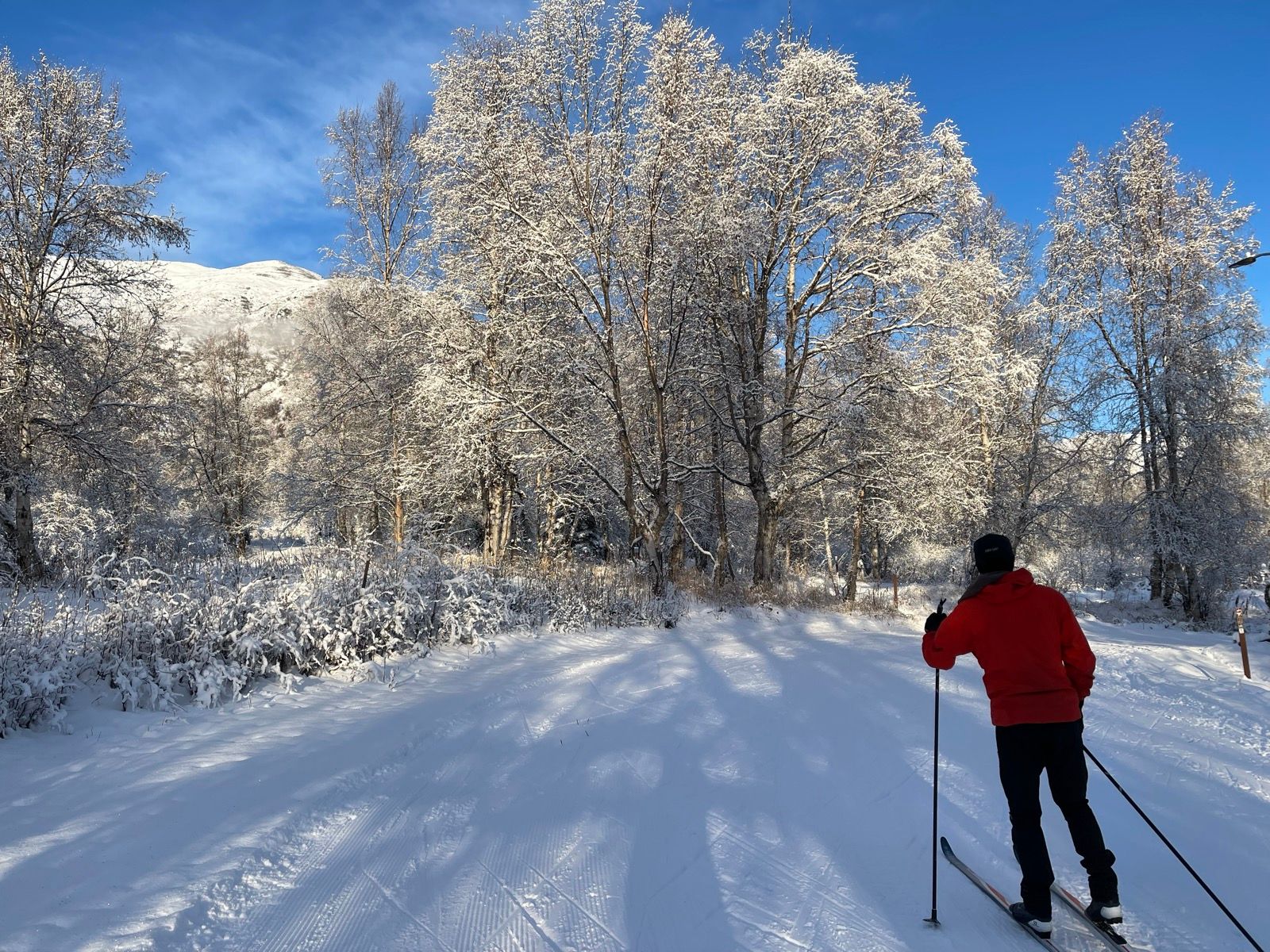 Emily Gulanczyk Strava Runner Profile