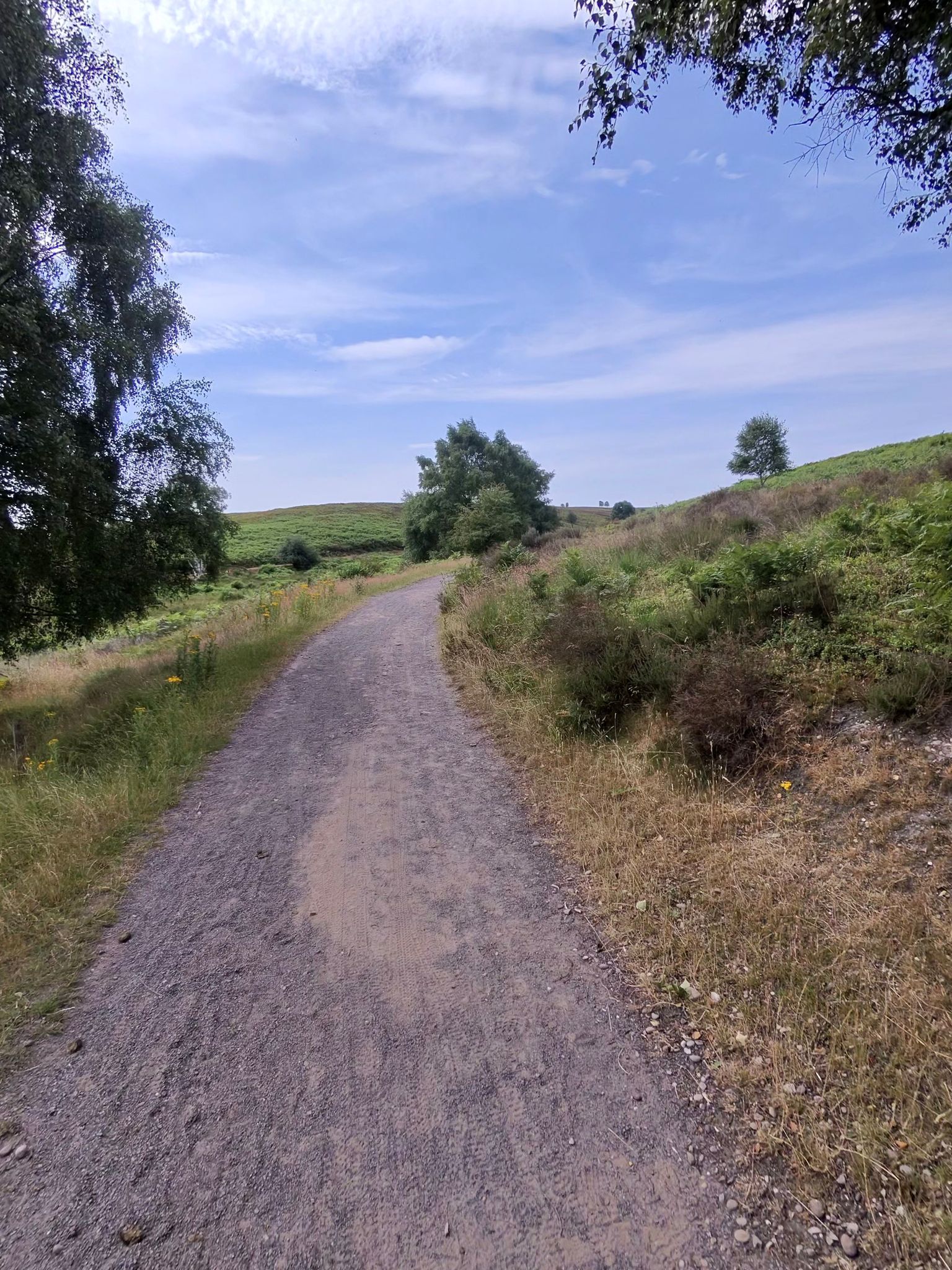 Stafford ride