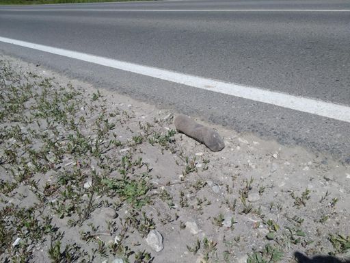 Слепыш, говорят