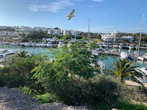 Diese Möwe wollte auch wieder unbedingt ins Bild😎🤷‍♂️