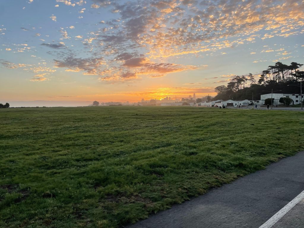 Butterlap (Presidio & Golden Gate Park) photo 175