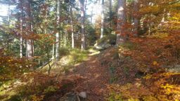 Par les lacs de Pierre Percée