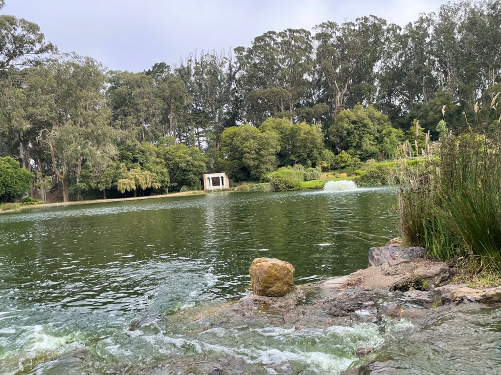 Butterlap (Presidio & Golden Gate Park) photo 148