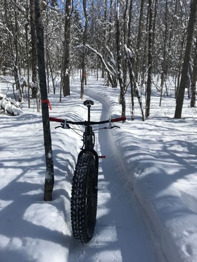 I think the end of February is my favourite time of the year.