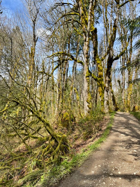 Redmond Watershed Preserve V3 4 5 Mi Running Route On Strava redmond-watershed-preserve-v3-4-5-mi-running-route-on-strava