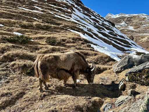 Sneh na ceste smerom k Tibetu