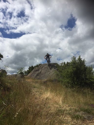 Bibi, dalle vers le dolmen de la grotte, à Cournols