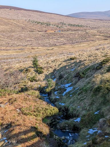 Logging traffic= rougher/ muddier track than it should have been