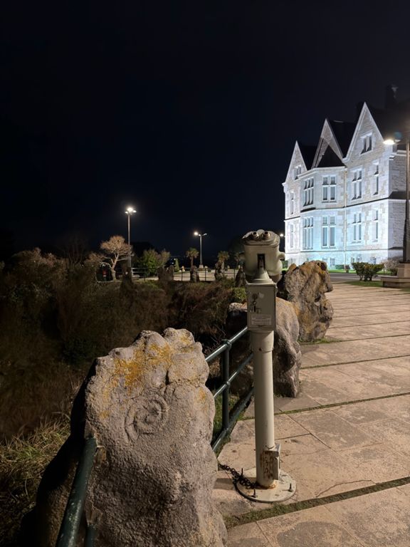 Visita a mi viejo amigo 🐚