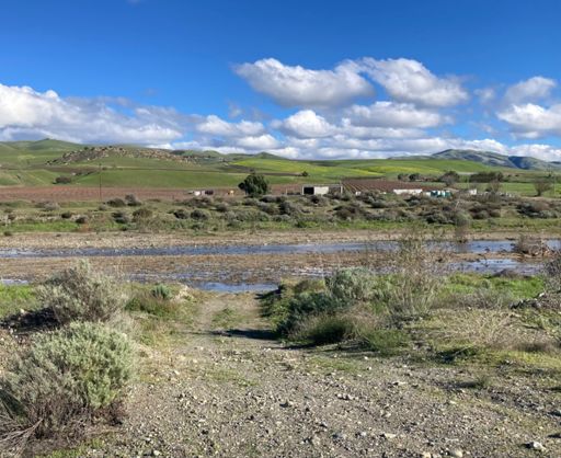 The shallower ford of Tres Pinos creek at Brown’s valley road, a bit downstream. 