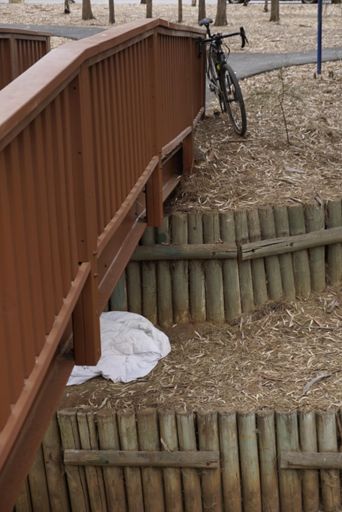 The Troll wasn't home