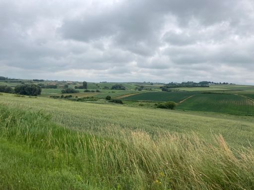 Symbolbild: Wetter und Landschaft heute.