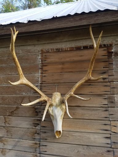 On Michelle and Andy's house...