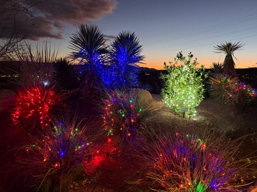 There weren’t enough pine trees to decorate.