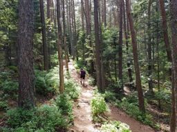 Rando Ottrott Dreistein Ste-Odile