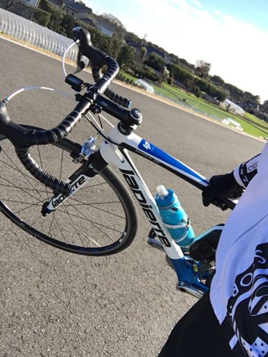 関宿飛行場付近は横風が強すぎて危険だったので仕方なく降りて歩いた。 風で自転車が浮く。自分では持ち上げてないですコレ