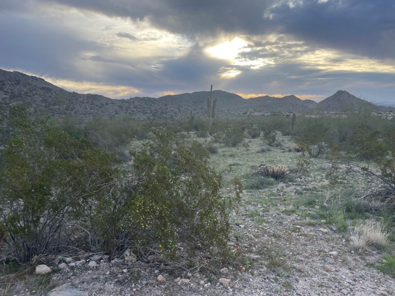 Telegraph Pass photo 5