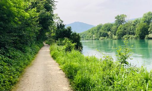 Aareaufwärts Richtung Emmenspitz