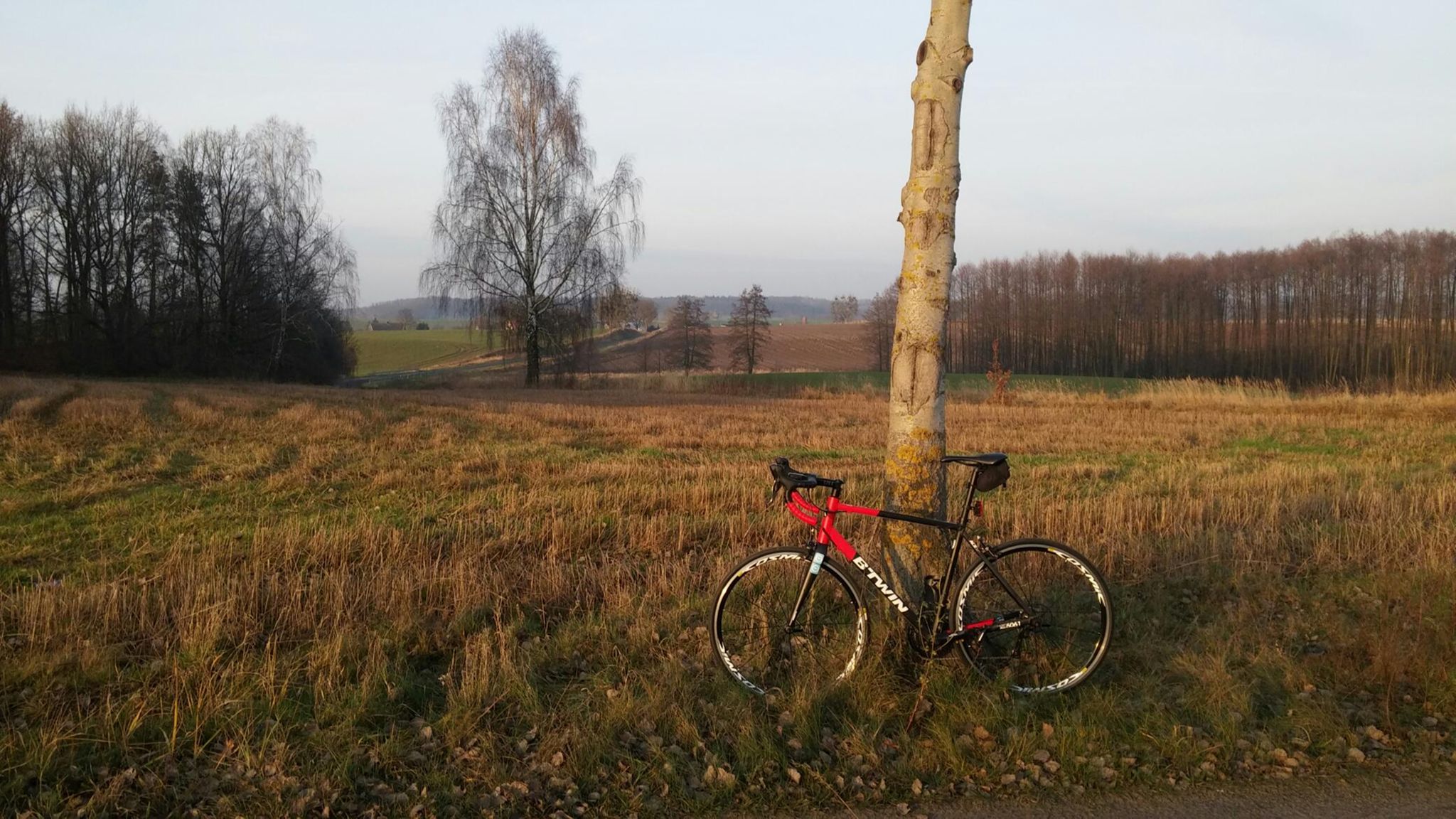 Xq87iRigT1GQajOSxK45ErJsj8FxPPPnIJ7Dupb_