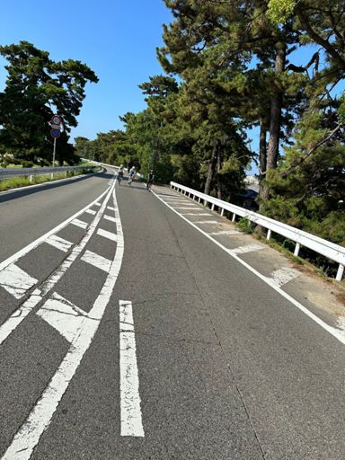 歩行者、自転車専用道路とか素敵やん。