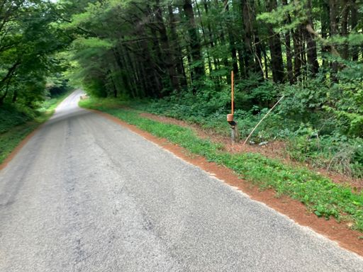 Sleepy Hollow Rd is a fantastic tunnel road