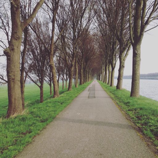 Amsterdam Rijnkanaal