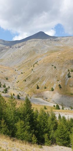 Dans le parc ....j'attends que le troupeau quitte le chemin ca évitera d'avoir des patous trop agressifs