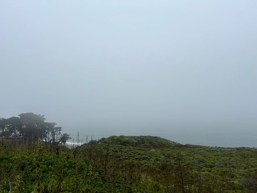 Butterlap (Presidio & Golden Gate Park) photo 193