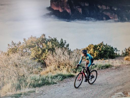 Aus dem Specialized Katalog