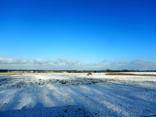 Steenberg, Mollemstraat Merchtem.