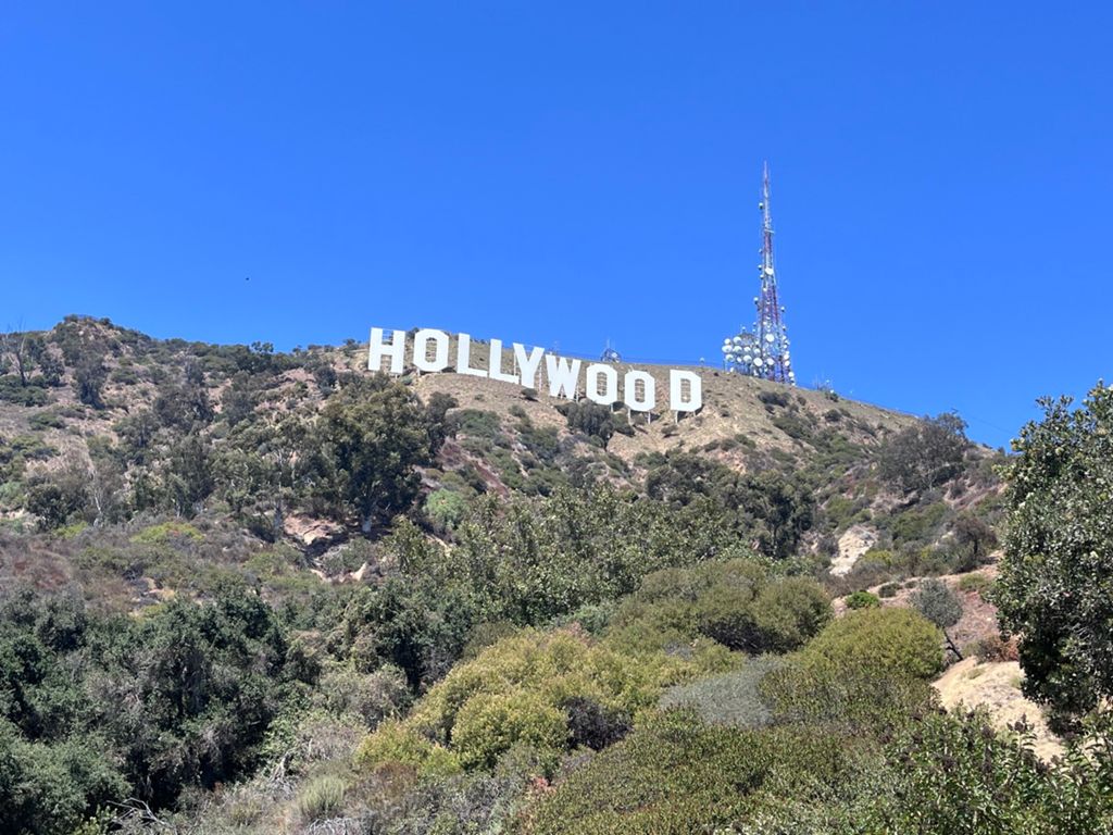 NBB run - Lake Hollywood: фото 137