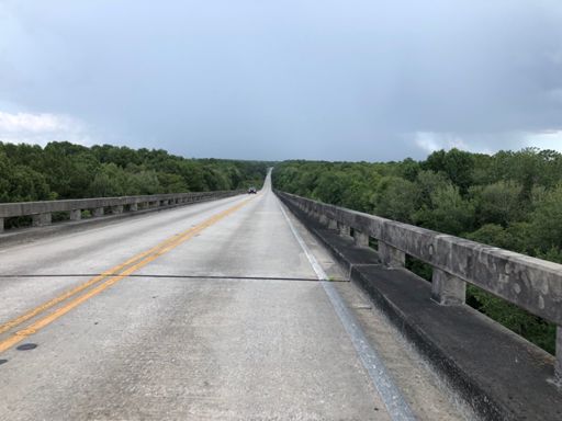 Ocala national forest was quite hilly and fun (and wet!)