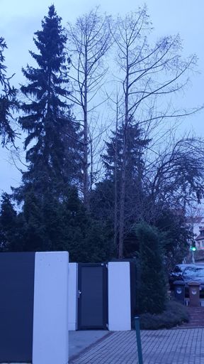 Koenigstein im Taunus_ID23770_UM_Wiesbadener Str. 124