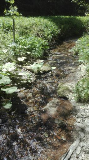 Verpflegungsstation :-)